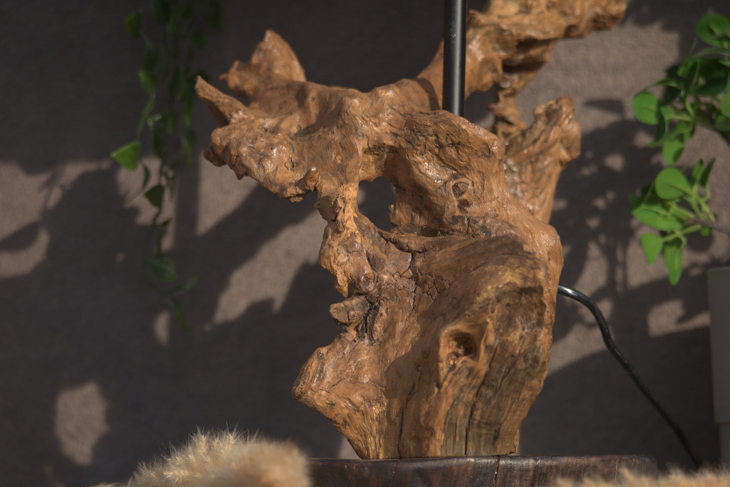 Lumière Sauvages - Racine Scintillante