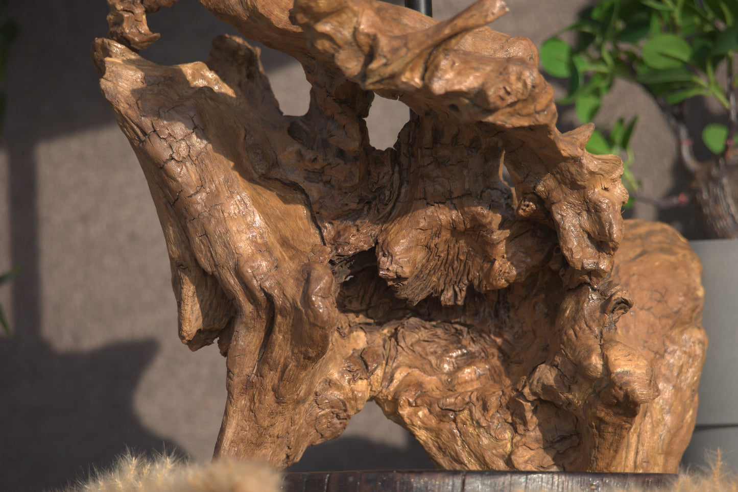 Lumière Sauvages - Racine Scintillante