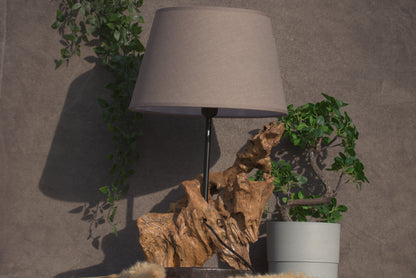 Lumière Sauvages - Racine Scintillante