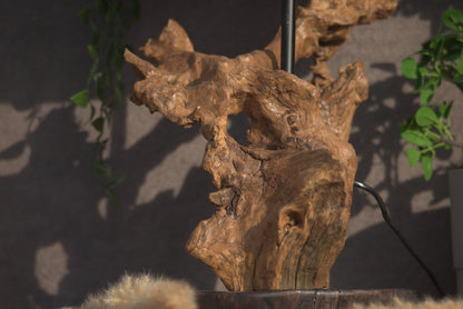 Lumière Sauvages - Racine Scintillante