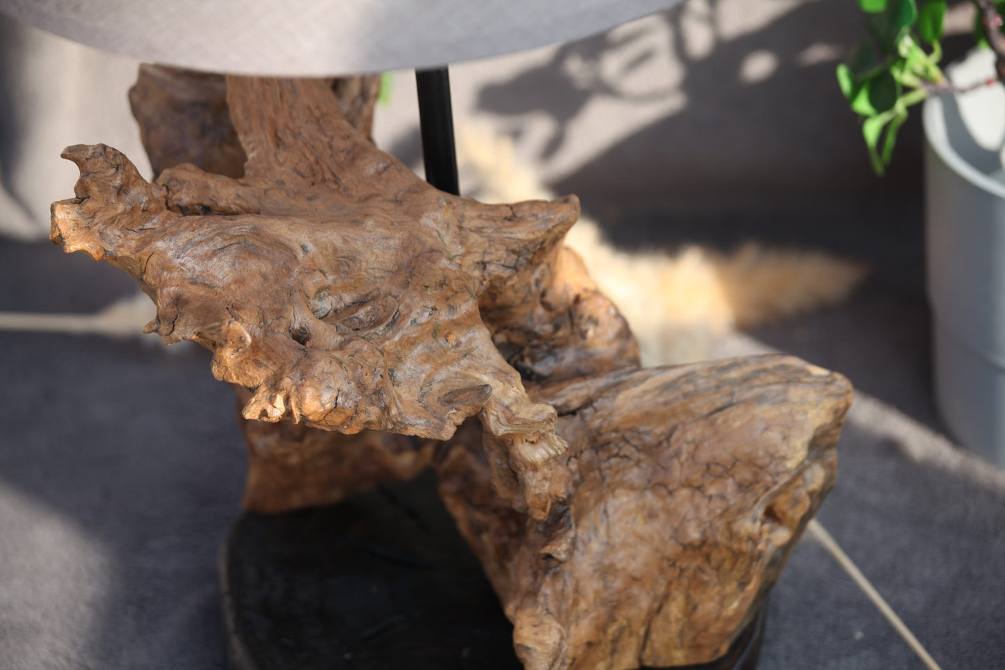 Lumière Sauvages - Racine Scintillante