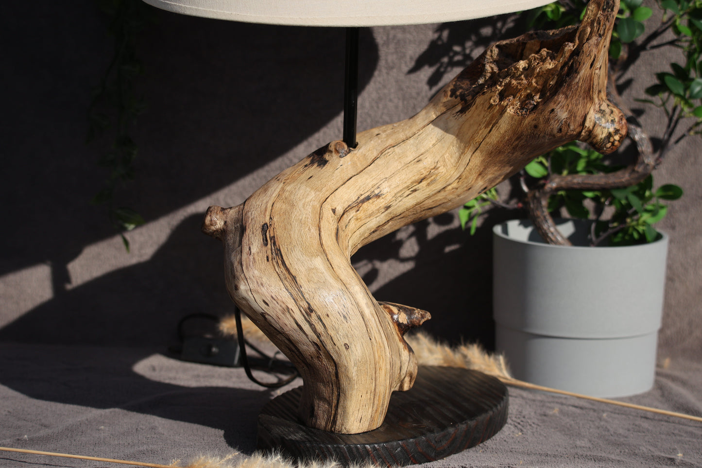 Lumières Sauvages - Branche Tourbillante