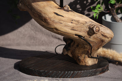 Lumières Sauvages - Branche Tourbillante