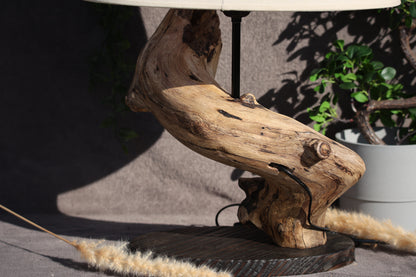 Lumières Sauvages - Branche Tourbillante